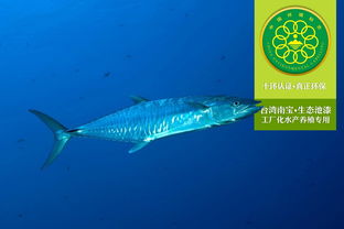 工廠化水產(chǎn)養(yǎng)殖專用漆的生態(tài)簡(jiǎn)介