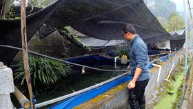 工廠化高密度水產(chǎn)養(yǎng)殖 圓桶刀刮布魚(yú)池循環(huán)水系統(tǒng)施工詳解