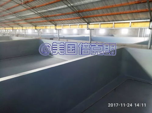 美國倍克朗攜手金盛水產(chǎn)共建水產(chǎn)養(yǎng)殖漆示范基地，引領(lǐng)行業(yè)綠色發(fā)展