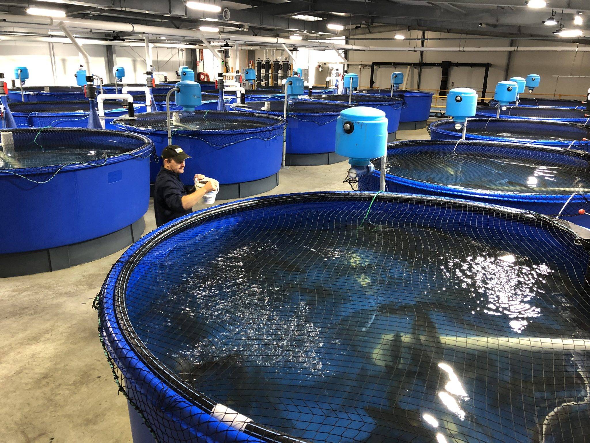水質、數據與環境 解析水產養殖行業的廣闊發展空間